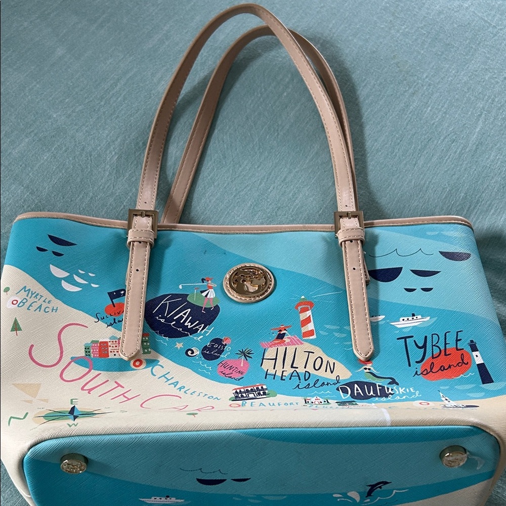 South Carolina Spartina purse.  Clean and like new!